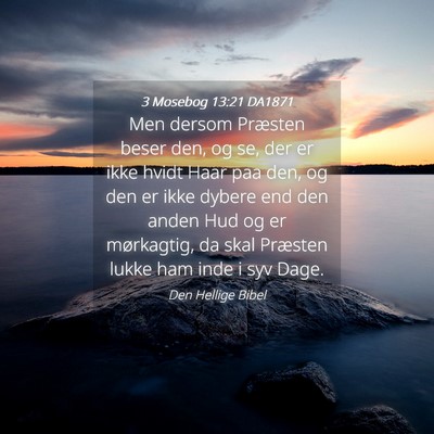 Picture 04 - 3 Mosebog 13:21 DA1871 - Men dersom Præsten beser den, og se, der er ikke - Bible Verse Picture