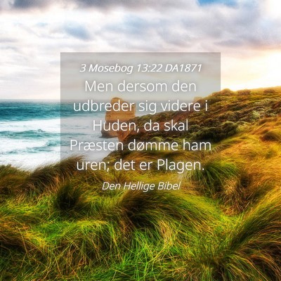 Picture 04 - 3 Mosebog 13:22 DA1871 - Men dersom den udbreder sig videre i Huden, da - Bible Verse Picture
