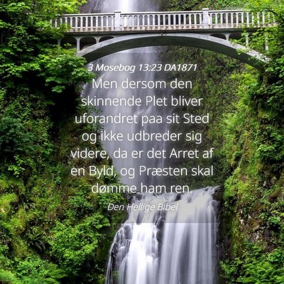 Picture 04 - 3 Mosebog 13:23 DA1871 - Men dersom den skinnende Plet bliver uforandret - Bible Verse Picture
