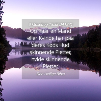 Picture 04 - 3 Mosebog 13:38 DA1871 - Og naar en Mand eller Kvinde har paa deres Køds - Bible Verse Picture