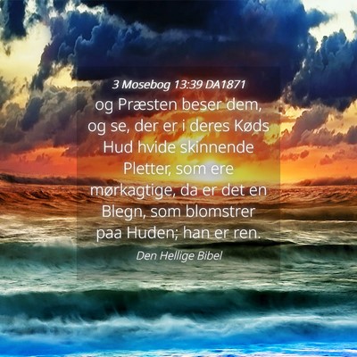 Picture 04 - 3 Mosebog 13:39 DA1871 - og Præsten beser dem, og se, der er i deres - Bible Verse Picture