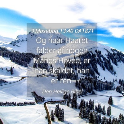 Picture 04 - 3 Mosebog 13:40 DA1871 - Og naar Haaret falder af nogen Mands Hoved, er - Bible Verse Picture