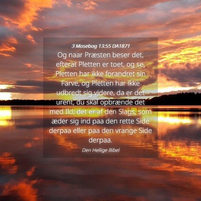 Picture 04 - 3 Mosebog 13:55 DA1871 - Og naar Præsten beser det, efterat Pletten er - Bible Verse Picture