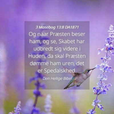 Picture 04 - 3 Mosebog 13:8 DA1871 - Og naar Præsten beser ham, og se, Skabet har - Bible Verse Picture