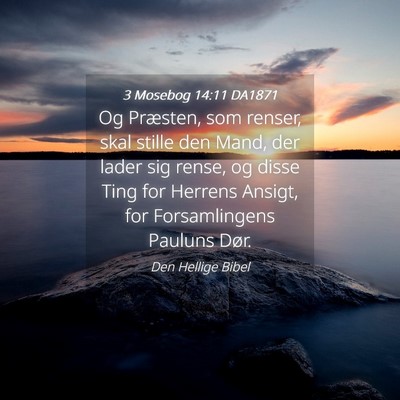 Picture 04 - 3 Mosebog 14:11 DA1871 - Og Præsten, som renser, skal stille den Mand, - Bible Verse Picture