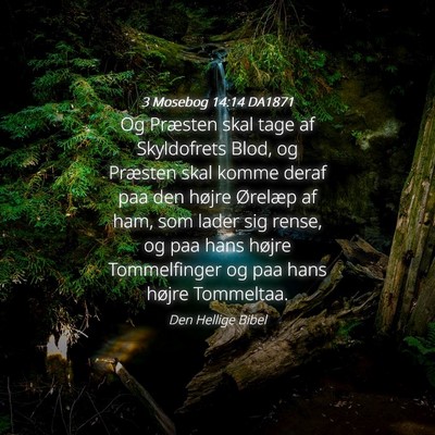 Picture 04 - 3 Mosebog 14:14 DA1871 - Og Præsten skal tage af Skyldofrets Blod, og - Bible Verse Picture
