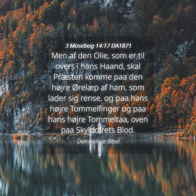 Picture 04 - 3 Mosebog 14:17 DA1871 - Men af den Olie, som er til overs i hans Haand, - Bible Verse Picture