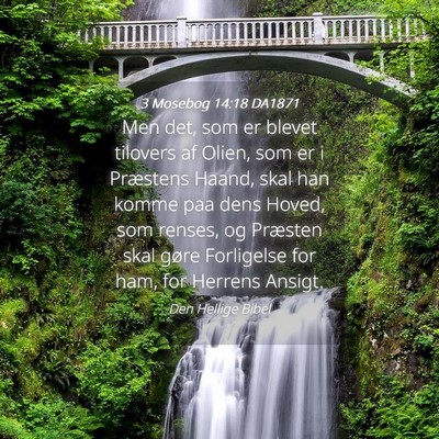 Picture 04 - 3 Mosebog 14:18 DA1871 - Men det, som er blevet tilovers af Olien, som er - Bible Verse Picture