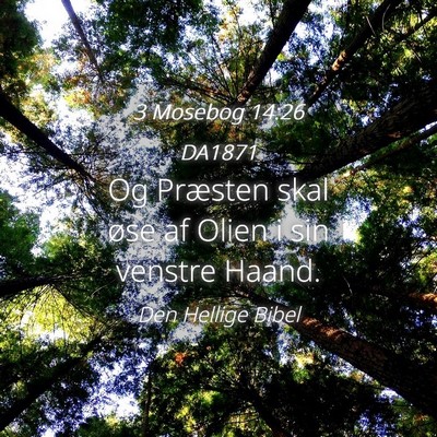 Picture 04 - 3 Mosebog 14:26 DA1871 - Og Præsten skal øse af Olien i sin venstre - Bible Verse Picture