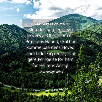Picture 04 - 3 Mosebog 14:29 DA1871 - Men det, som er blevet tilovers af Olien, som er - Bible Verse Picture
