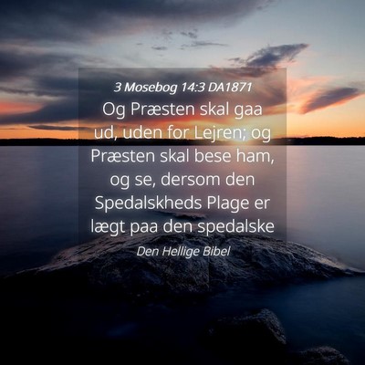 Picture 04 - 3 Mosebog 14:3 DA1871 - Og Præsten skal gaa ud, uden for Lejren; og - Bible Verse Picture