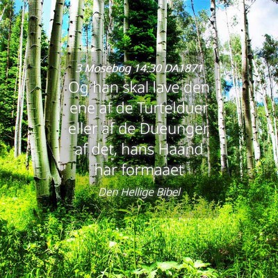 Picture 04 - 3 Mosebog 14:30 DA1871 - Og han skal lave den ene af de Turtelduer eller - Bible Verse Picture