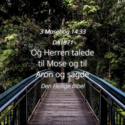 Picture 04 - 3 Mosebog 14:33 DA1871 - Og Herren talede til Mose og til Aron og - Bible Verse Picture