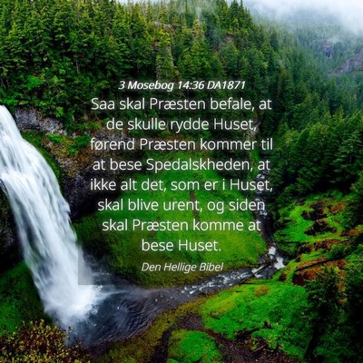 Picture 04 - 3 Mosebog 14:36 DA1871 - Saa skal Præsten befale, at de skulle rydde - Bible Verse Picture