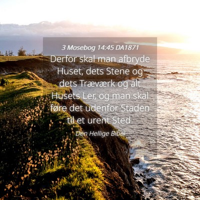 Picture 04 - 3 Mosebog 14:45 DA1871 - Derfor skal man afbryde Huset, dets Stene og dets - Bible Verse Picture