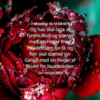 Picture 04 - 3 Mosebog 16:14 DA1871 - Og han skal tage af Tyrens Blod og stænke med - Bible Verse Picture