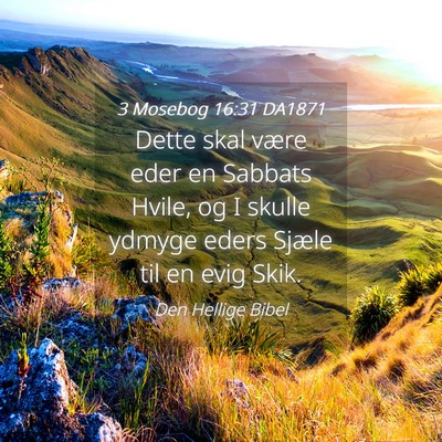 Picture 04 - 3 Mosebog 16:31 DA1871 - Dette skal være eder en Sabbats Hvile, og I - Bible Verse Picture