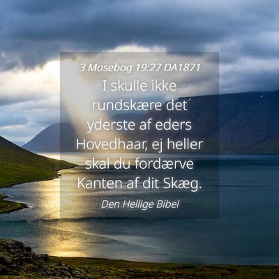 Picture 04 - 3 Mosebog 19:27 DA1871 - I skulle ikke rundskære det yderste af eders - Bible Verse Picture