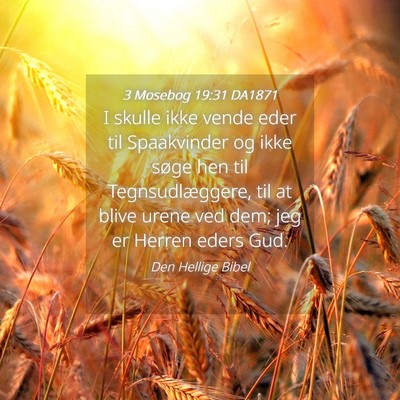 Picture 04 - 3 Mosebog 19:31 DA1871 - I skulle ikke vende eder til Spaakvinder og ikke - Bible Verse Picture