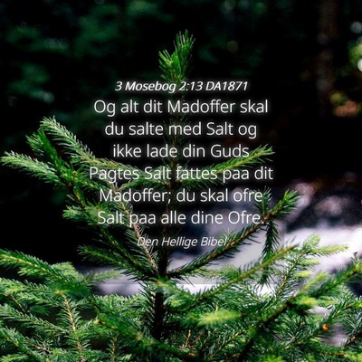 Picture 04 - 3 Mosebog 2:13 DA1871 - Og alt dit Madoffer skal du salte med Salt og - Bible Verse Picture