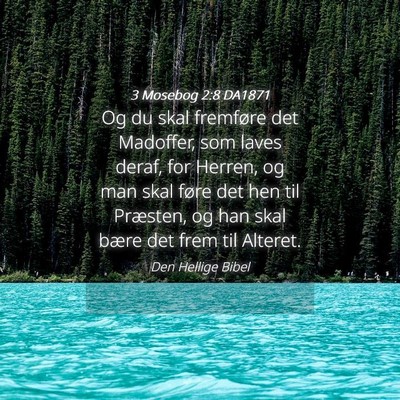 Picture 04 - 3 Mosebog 2:8 DA1871 - Og du skal fremføre det Madoffer, som laves - Bible Verse Picture