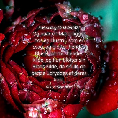 Picture 04 - 3 Mosebog 20:18 DA1871 - Og naar en Mand ligger hos en Hustru, som er - Bible Verse Picture