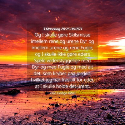 Picture 04 - 3 Mosebog 20:25 DA1871 - Og I skulle gøre Skilsmisse imellem rene og - Bible Verse Picture