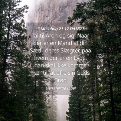 Picture 04 - 3 Mosebog 21:17 DA1871 - Tal til Aron og sig: Naar der er en Mand af din - Bible Verse Picture
