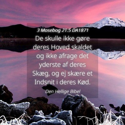 Picture 04 - 3 Mosebog 21:5 DA1871 - De skulle ikke gøre deres Hoved skaldet og ikke - Bible Verse Picture