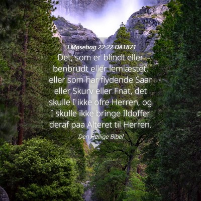Picture 04 - 3 Mosebog 22:22 DA1871 - Det, som er blindt eller benbrudt eller - Bible Verse Picture
