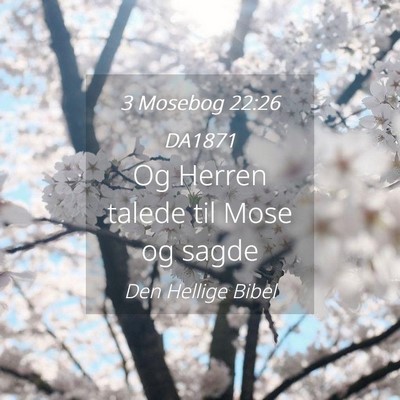 Picture 04 - 3 Mosebog 22:26 DA1871 - Og Herren talede til Mose og - Bible Verse Picture