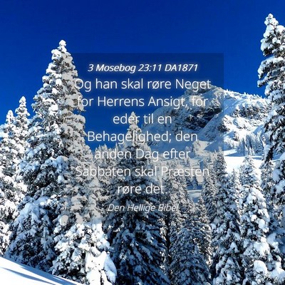 Picture 04 - 3 Mosebog 23:11 DA1871 - Og han skal røre Neget for Herrens Ansigt, for - Bible Verse Picture