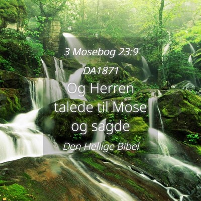 Picture 04 - 3 Mosebog 23:9 DA1871 - Og Herren talede til Mose og - Bible Verse Picture