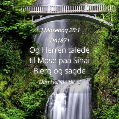 Picture 04 - 3 Mosebog 25:1 DA1871 - Og Herren talede til Mose paa Sinai Bjerg og - Bible Verse Picture