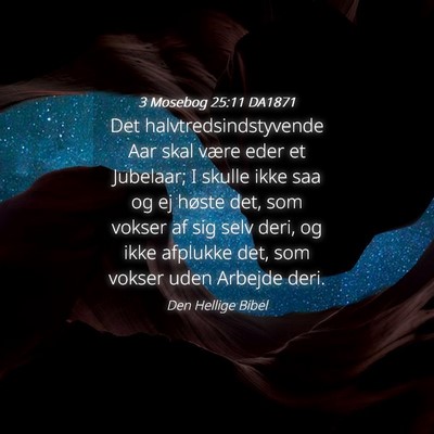 Picture 04 - 3 Mosebog 25:11 DA1871 - Det halvtredsindstyvende Aar skal være eder et - Bible Verse Picture
