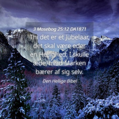 Picture 04 - 3 Mosebog 25:12 DA1871 - Thi det er et Jubelaar, det skal være eder en - Bible Verse Picture