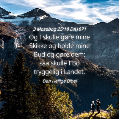 Picture 04 - 3 Mosebog 25:18 DA1871 - Og I skulle gøre mine Skikke og holde mine Bud - Bible Verse Picture