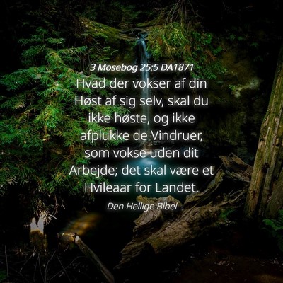 Picture 04 - 3 Mosebog 25:5 DA1871 - Hvad der vokser af din Høst af sig selv, skal du - Bible Verse Picture