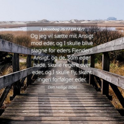 Picture 04 - 3 Mosebog 26:17 DA1871 - Og jeg vil sætte mit Ansigt mod eder, og I - Bible Verse Picture