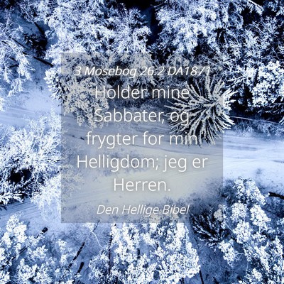 Picture 04 - 3 Mosebog 26:2 DA1871 - Holder mine Sabbater, og frygter for min - Bible Verse Picture