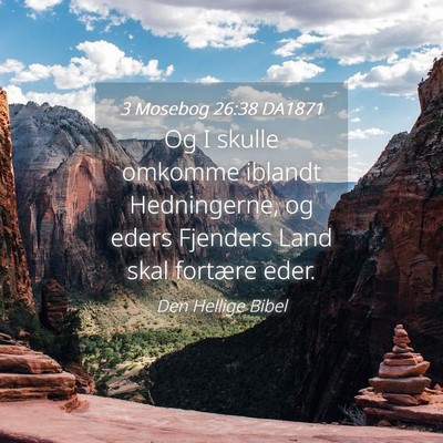 Picture 04 - 3 Mosebog 26:38 DA1871 - Og I skulle omkomme iblandt Hedningerne, og eders - Bible Verse Picture