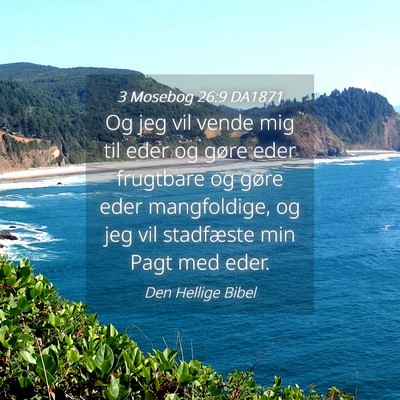 Picture 04 - 3 Mosebog 26:9 DA1871 - Og jeg vil vende mig til eder og gøre eder - Bible Verse Picture