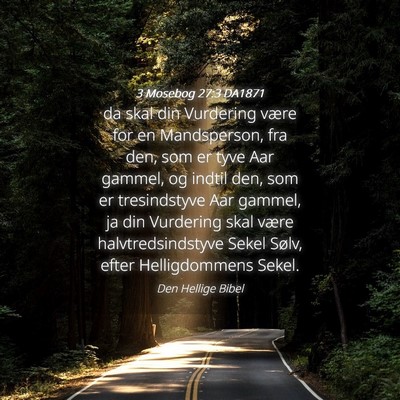 Picture 04 - 3 Mosebog 27:3 DA1871 - da skal din Vurdering være for en Mandsperson, - Bible Verse Picture