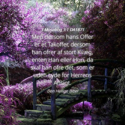 Picture 04 - 3 Mosebog 3:1 DA1871 - Men dersom hans Offer er et Takoffer, dersom han - Bible Verse Picture