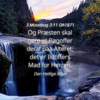 Picture 04 - 3 Mosebog 3:11 DA1871 - Og Præsten skal gøre et Røgoffer deraf paa - Bible Verse Picture