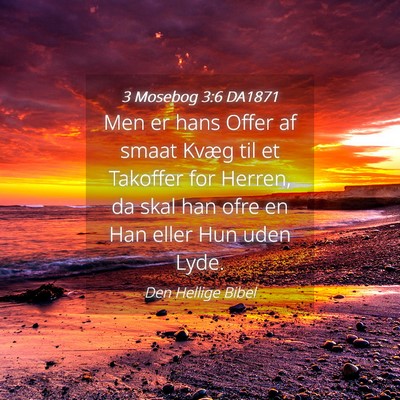 Picture 04 - 3 Mosebog 3:6 DA1871 - Men er hans Offer af smaat Kvæg til et Takoffer - Bible Verse Picture