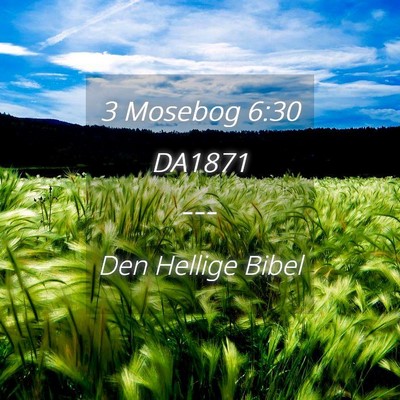 Picture 04 - 3 Mosebog 6:30 DA1871 -  - Bible Verse Picture