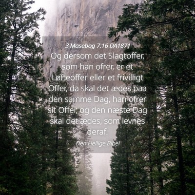 Picture 04 - 3 Mosebog 7:16 DA1871 - Og dersom det Slagtoffer, som han ofrer, er et - Bible Verse Picture