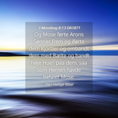 Picture 04 - 3 Mosebog 8:13 DA1871 - Og Mose førte Arons Sønner frem og iførte dem - Bible Verse Picture