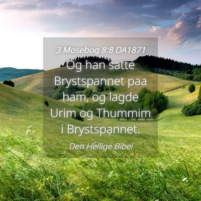 Picture 04 - 3 Mosebog 8:8 DA1871 - Og han satte Brystspannet paa ham, og lagde Urim - Bible Verse Picture